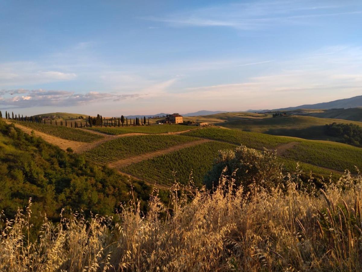 Agriturismo Podere Marcampo Volterra Exterior photo